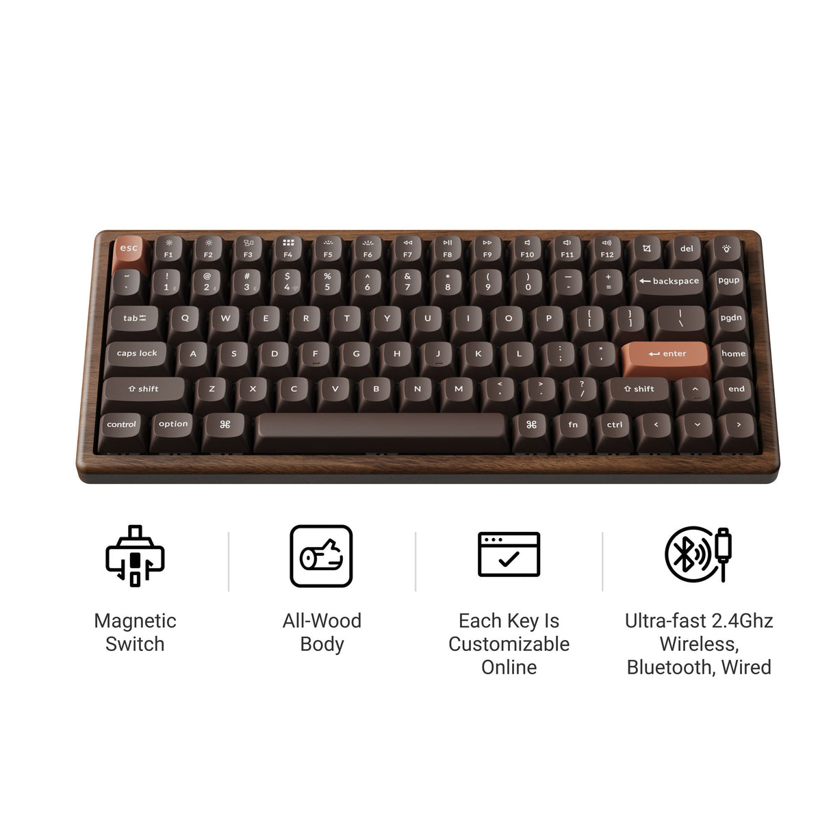 K2 HE All-Wood Special Edition Iconic Features