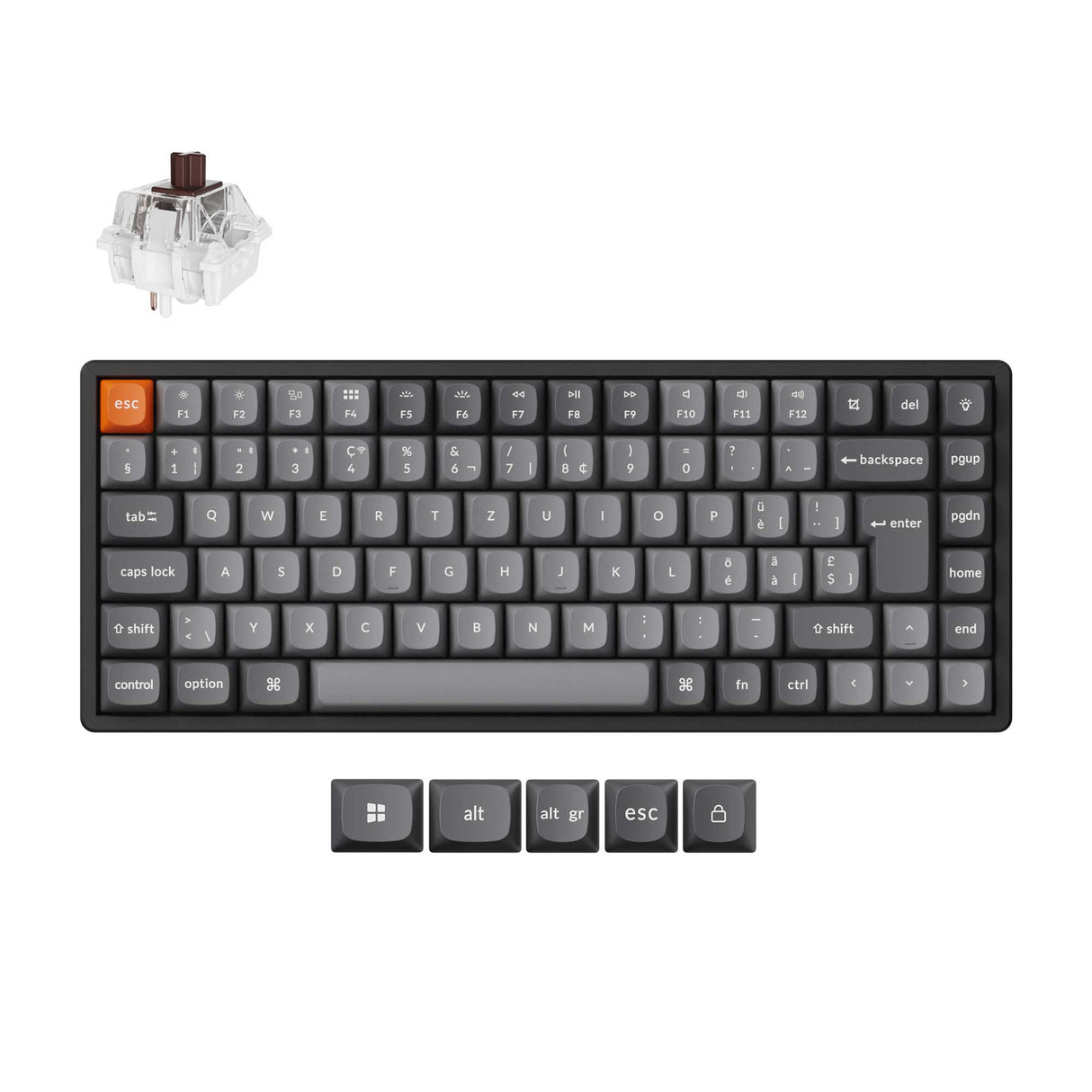 Keychron K2 Max QMK Wireless Custom Mechanical Keyboard 75% Layout Fully Assembled for Mac Windows Linux Keychron Super Brown ISO Swiss Layout
