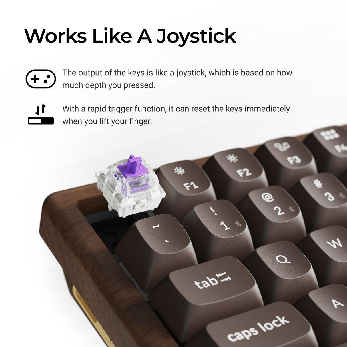 K2 HE All-Wood Special Edition Switch Features