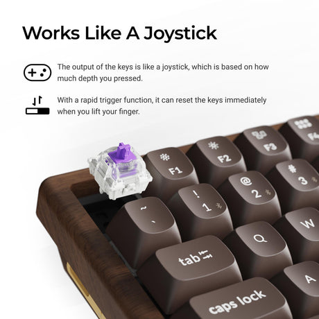 K2 HE All-Wood Special Edition Switch Features