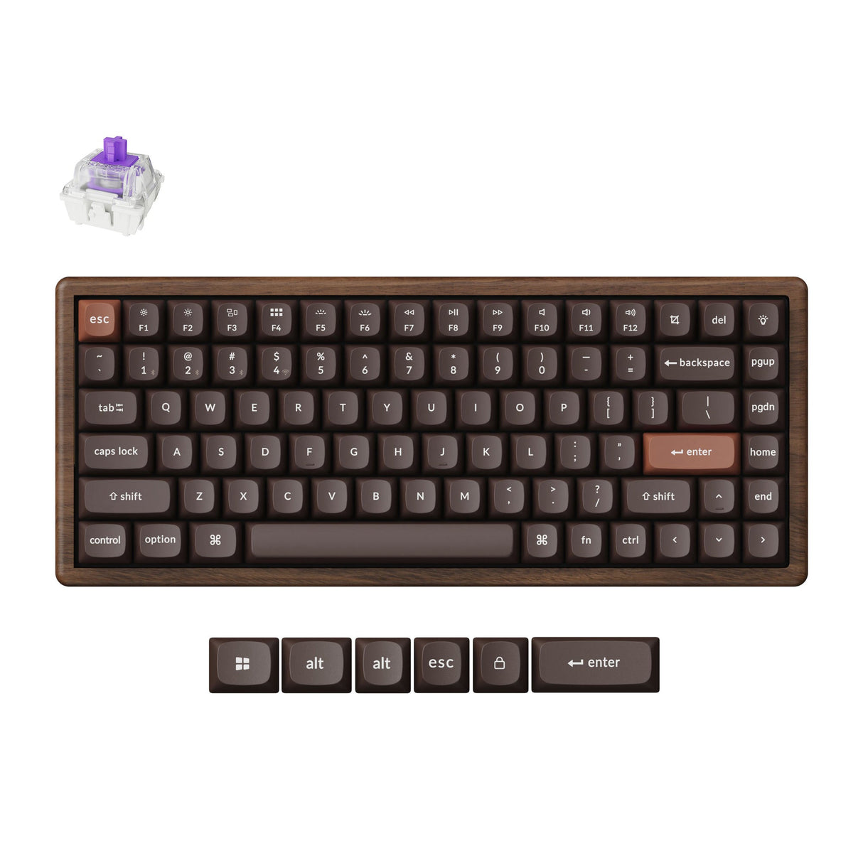 K2 HE Swappable RGB Backlight Nebula Switch - All-Wood Special Edition