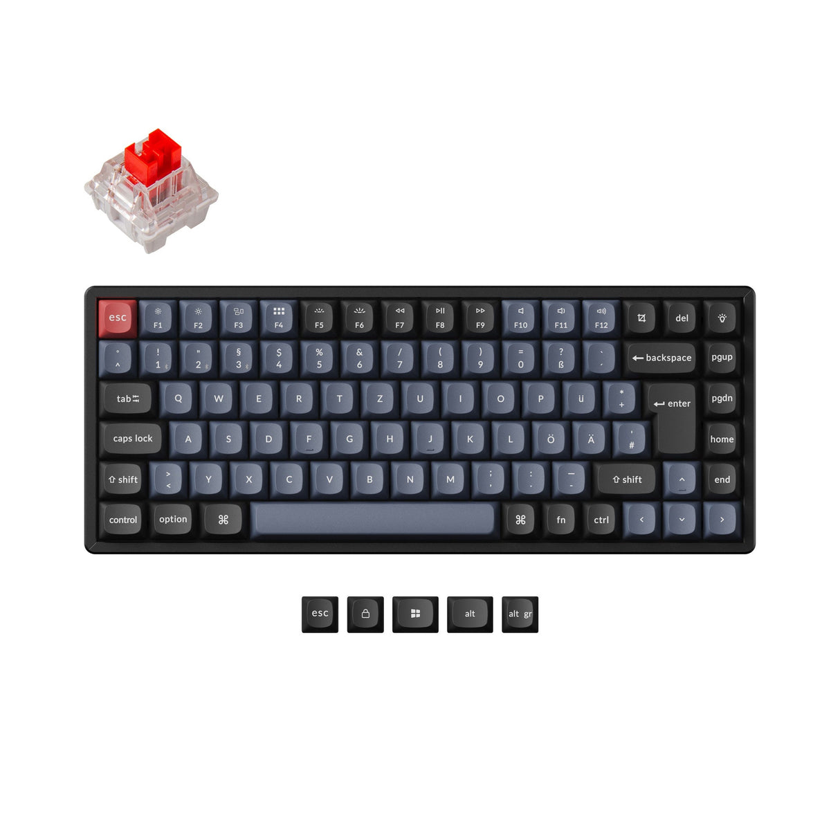 Keychron K2 Pro QMK VIA custom mechanical keyboard 75 percent layout PBT Keycaps hot-swappable Keychron K Pro switch red ISO German layout