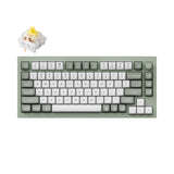 Keychron Q1 QMK VIA custom mechanical keyboard 75 percent full aluminum knob Mac Windows RGB backlight hot swappable Special Edition green Keychron K Pro banana switch