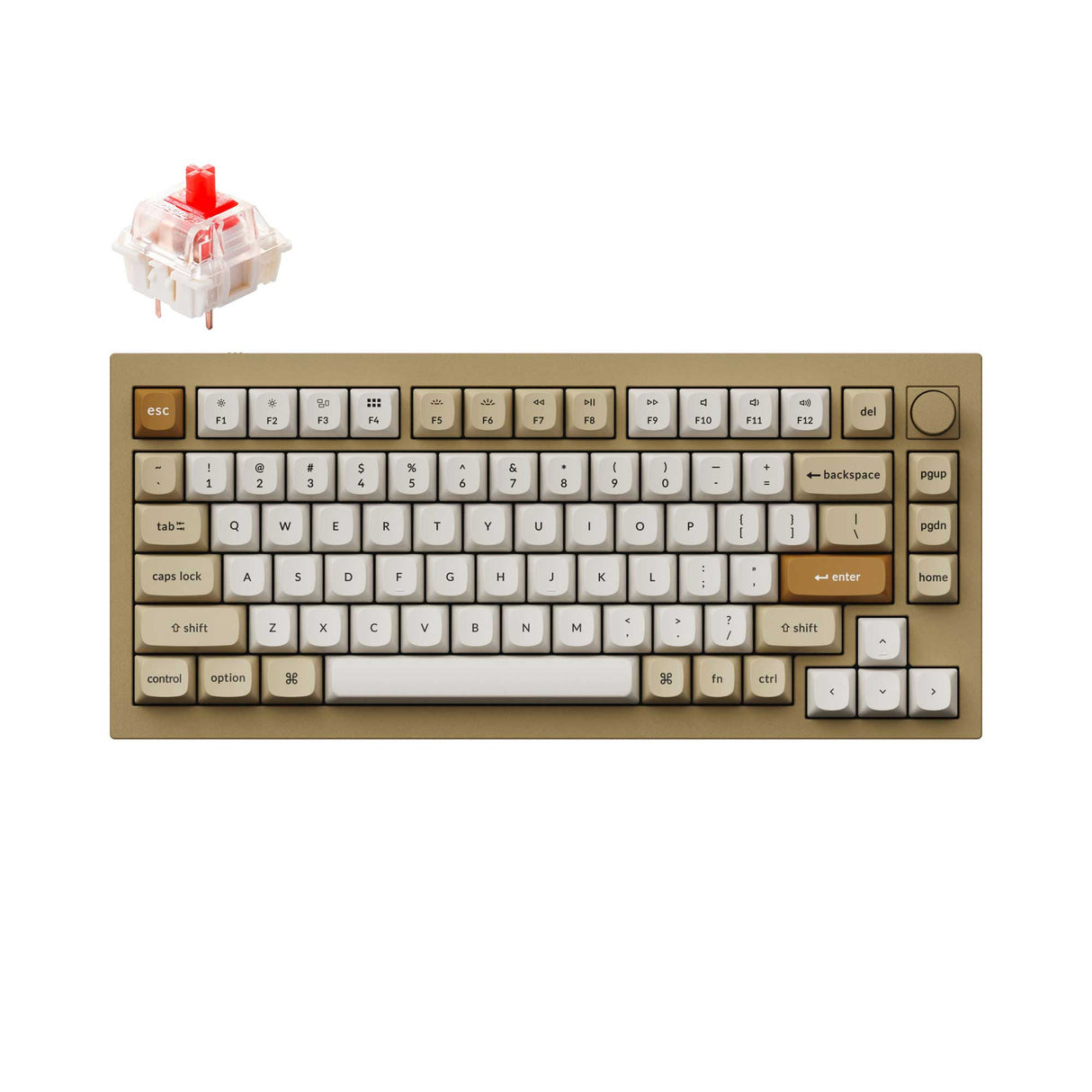 Keychron Q1 QMK VIA custom mechanical keyboard 75 percent layout full aluminum knob version Mac Windows RGB backlight hot swappable champagne gold Gateron G Pro red switch