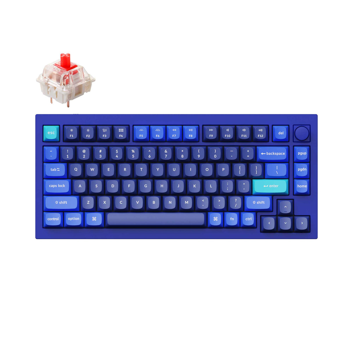 Keychron Q1 QMK VIA custom mechanical keyboard 75 percent layout full aluminum blue frame B knob version for Mac Windows iOS RGB backlight with hot swappable Gateron G Pro switch red