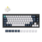 Keychron Q2 Max QMK/VIA wireless custom mechanical keyboard 65 percent layout full aluminum black for Mac Windows Linux Gateron Jupiter banana ISO UK layout