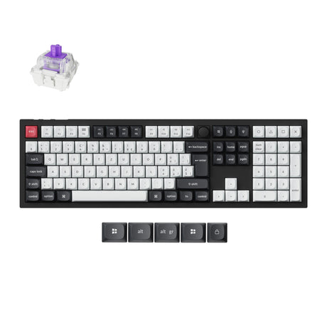 Keychron Q6 HE QMK Wireless Custom Magnetic Switch Keyboard 100% Layout Fully Assembled for Mac Windows Linux Gateron Nebula Switch ISO Swiss Layout